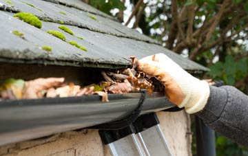 gutter cleaning Howick