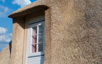 Howick thatch roof disadvantages